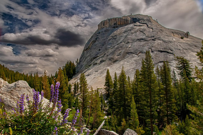pywiack dome